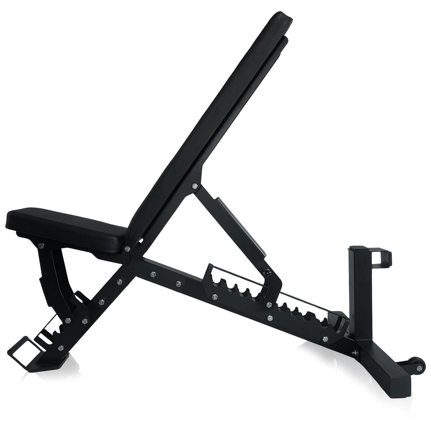 Prival Adjustable Weight Bench – Heavy-Duty Incline/Flat/Decline Bench for Versatile Strength Training