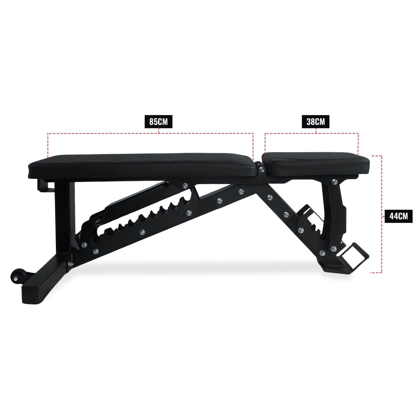 Prival Adjustable Weight Bench – Heavy-Duty Incline/Flat/Decline Bench for Versatile Strength Training