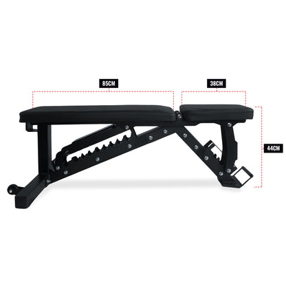 Prival Adjustable Weight Bench – Heavy-Duty Incline/Flat/Decline Bench for Versatile Strength Training