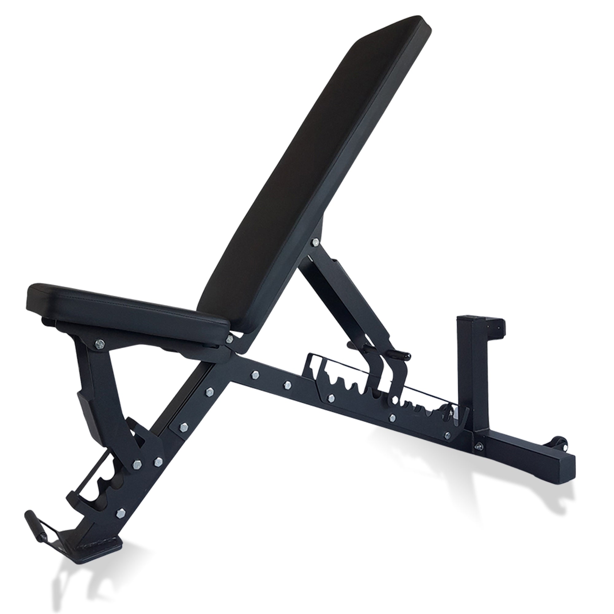 Prival Adjustable Weight Bench – Heavy-Duty Incline/Flat/Decline Bench for Versatile Strength Training