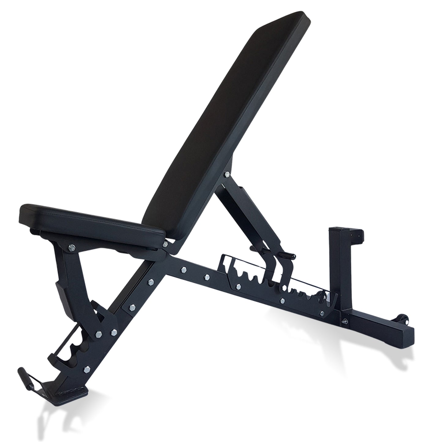 Prival Adjustable Weight Bench – Heavy-Duty Incline/Flat/Decline Bench for Versatile Strength Training